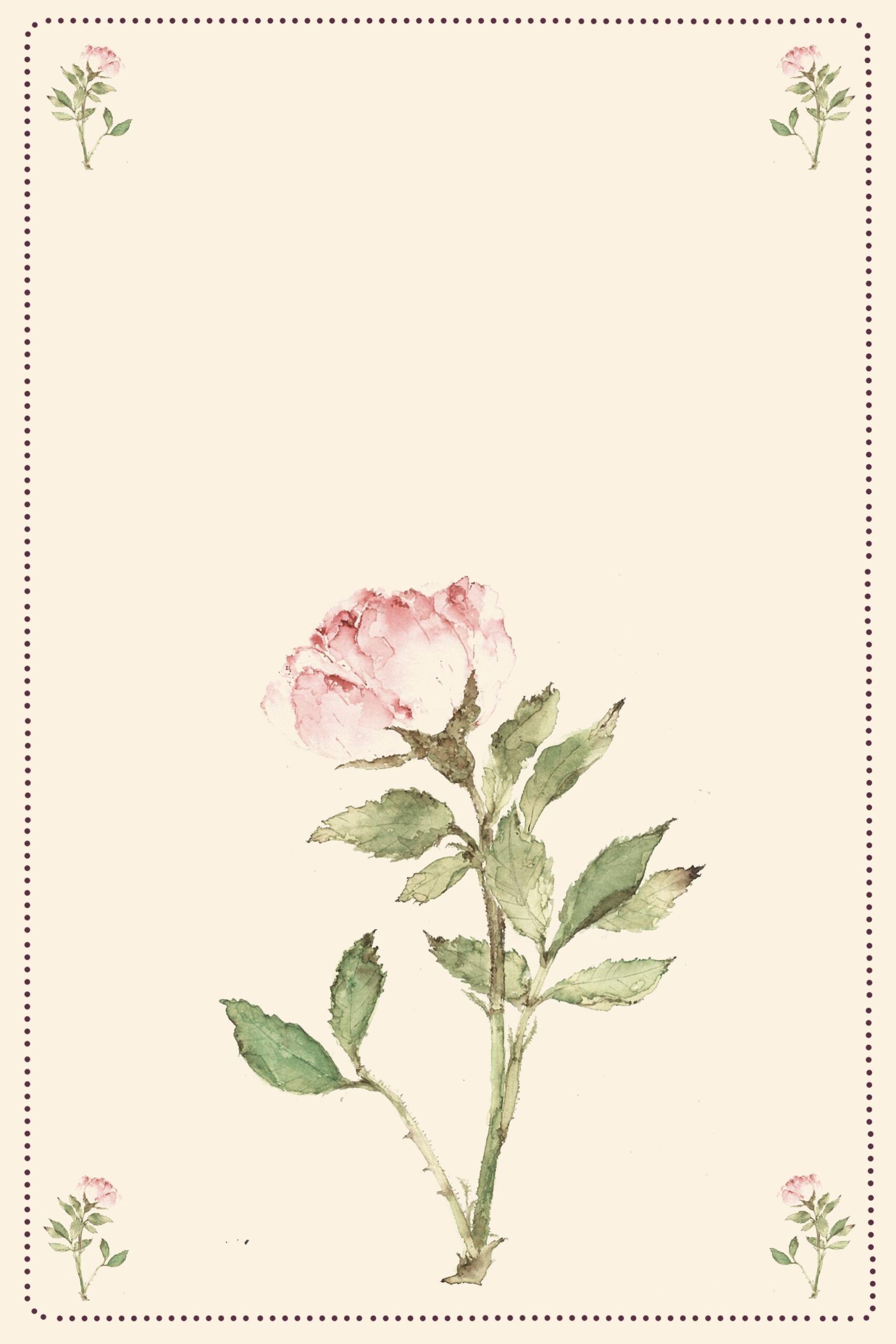 גלויה-מצוירת-ורד